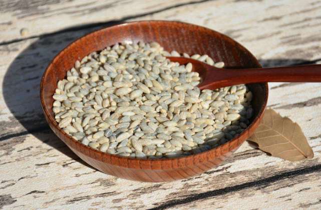 持证上岗，守护餐桌——西藏全面推行食用农产品合格证制度纪实