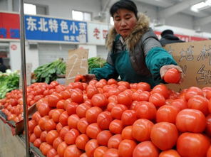 节后食用农产品价格普遍回落 市场供需逐步回归平稳